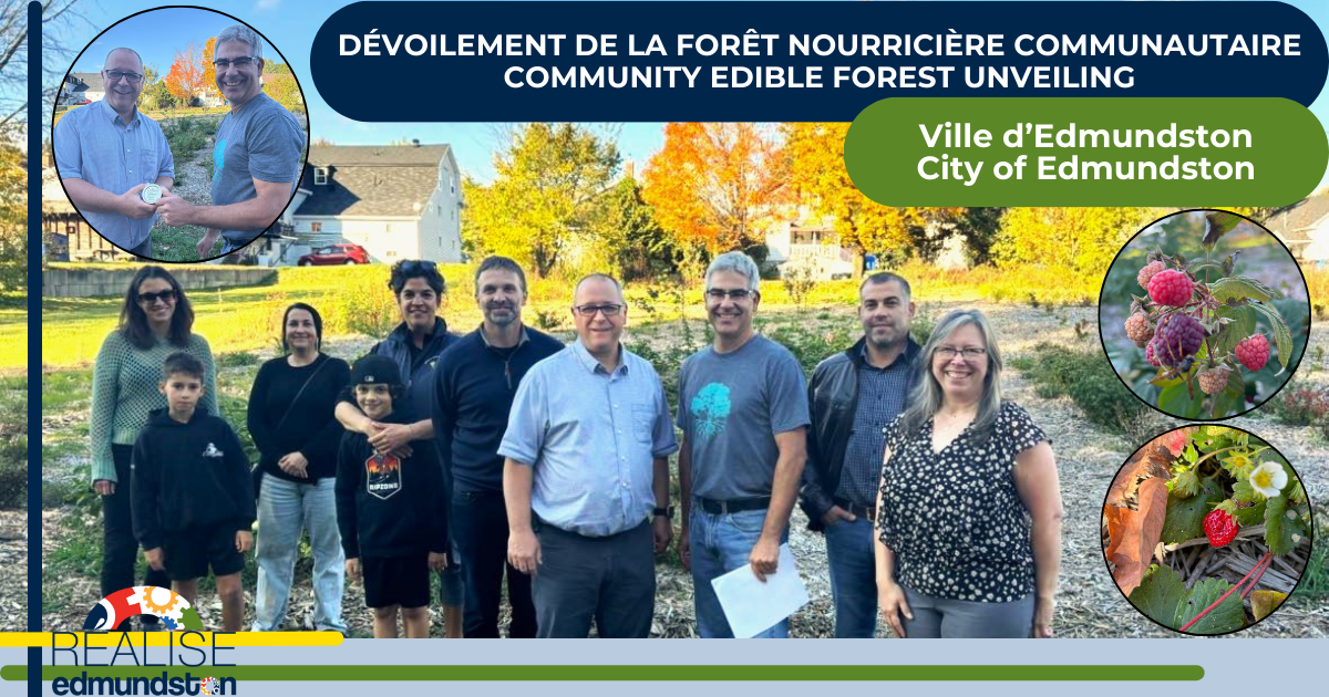 Un premier projet de forêt nourricière communautaire pousse dans le secteur Saint-Basile