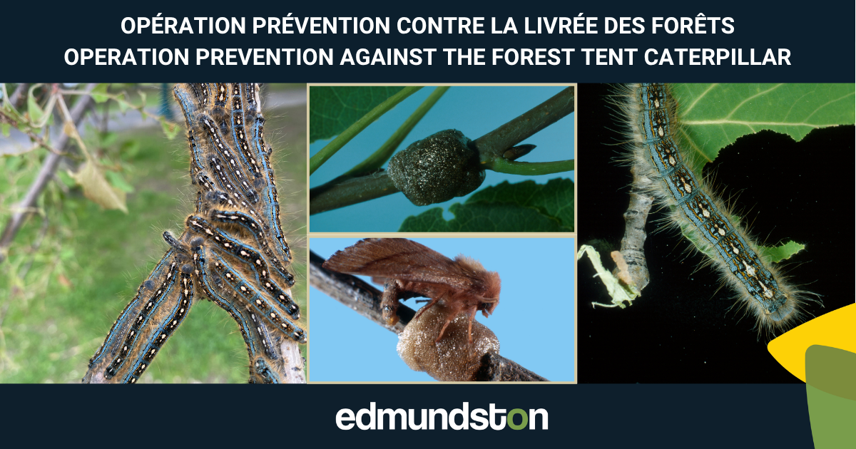 Lutte pr&eacute;ventive contre la livr&eacute;e des for&ecirc;ts