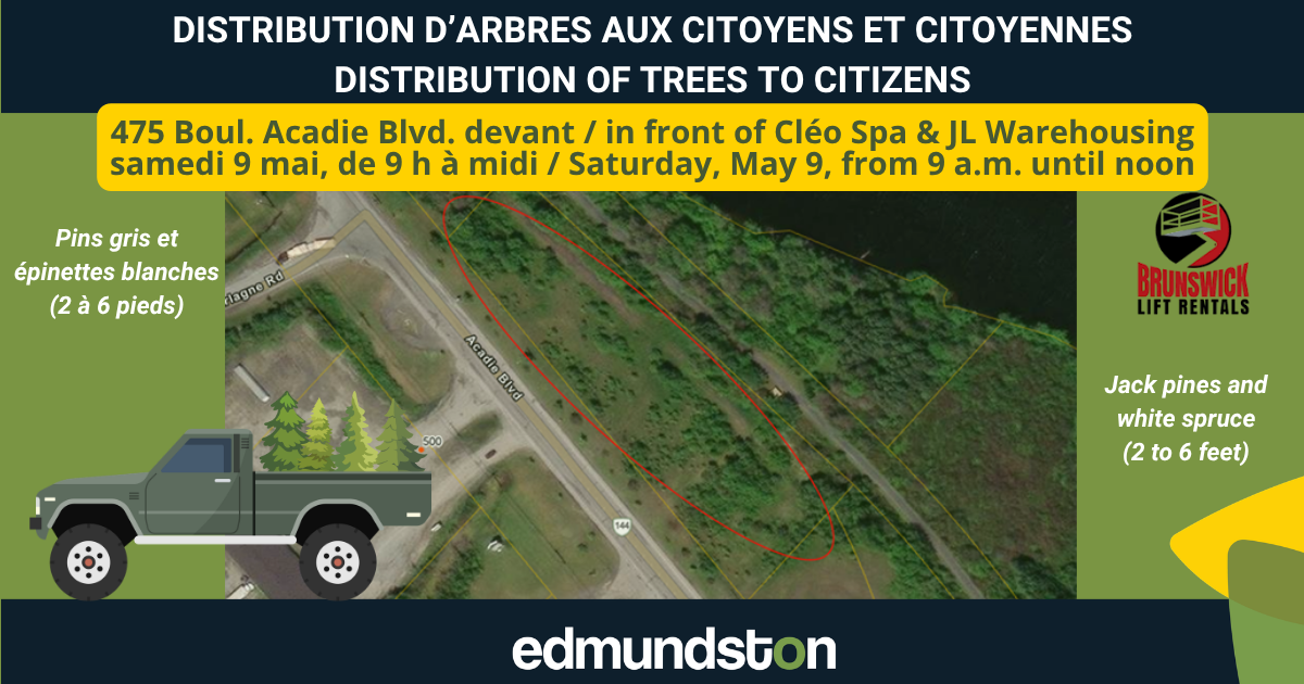 Distribution gratuite d'arbres aux citoyens et citoyennes
