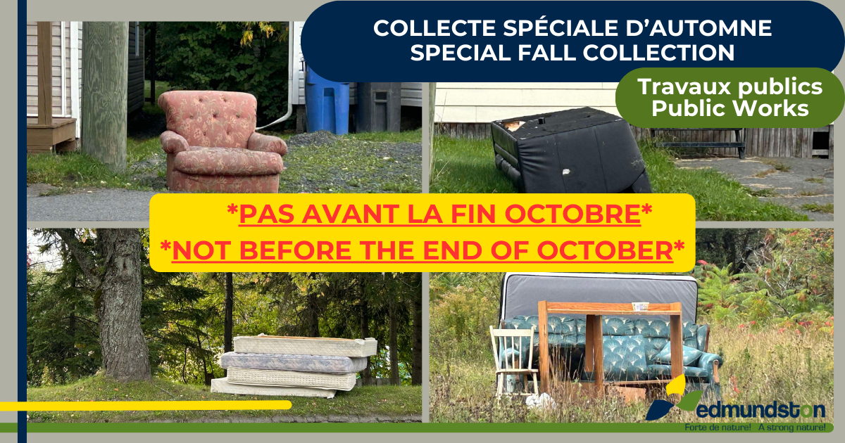 COLLECTE SPÉCIALE D’AUTOMNE – GARDONS NOTRE VILLE PROPRE!