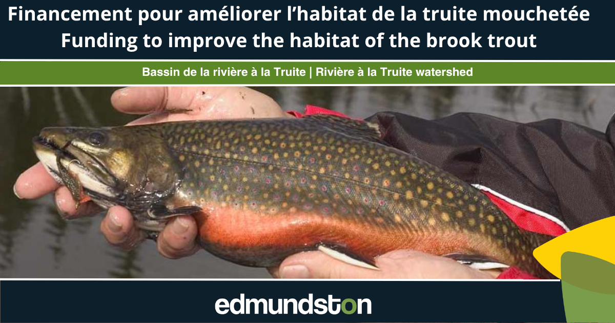 Un projet de restauration de l’habitat de l’omble de fontaine dans le bassin versant de la rivière à la Truite