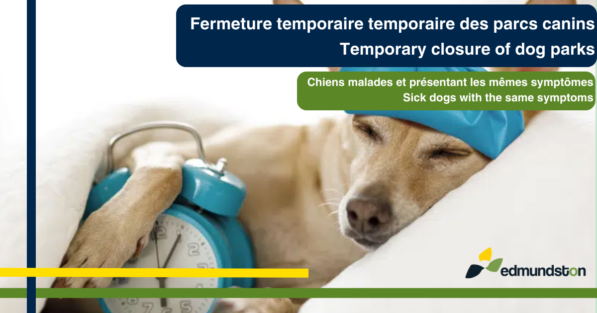 Fermeture temporaire des parcs canins