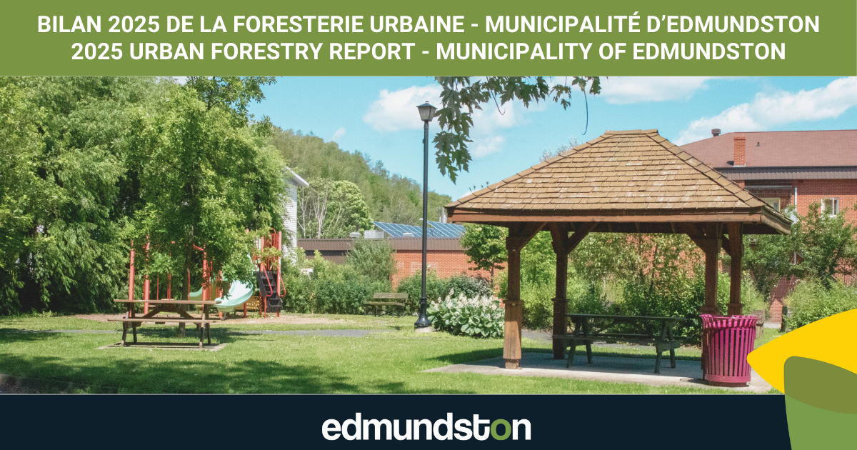 Bilan 2025 de la foresterie urbaine pour la municipalit&eacute; d&rsquo;Edmundston