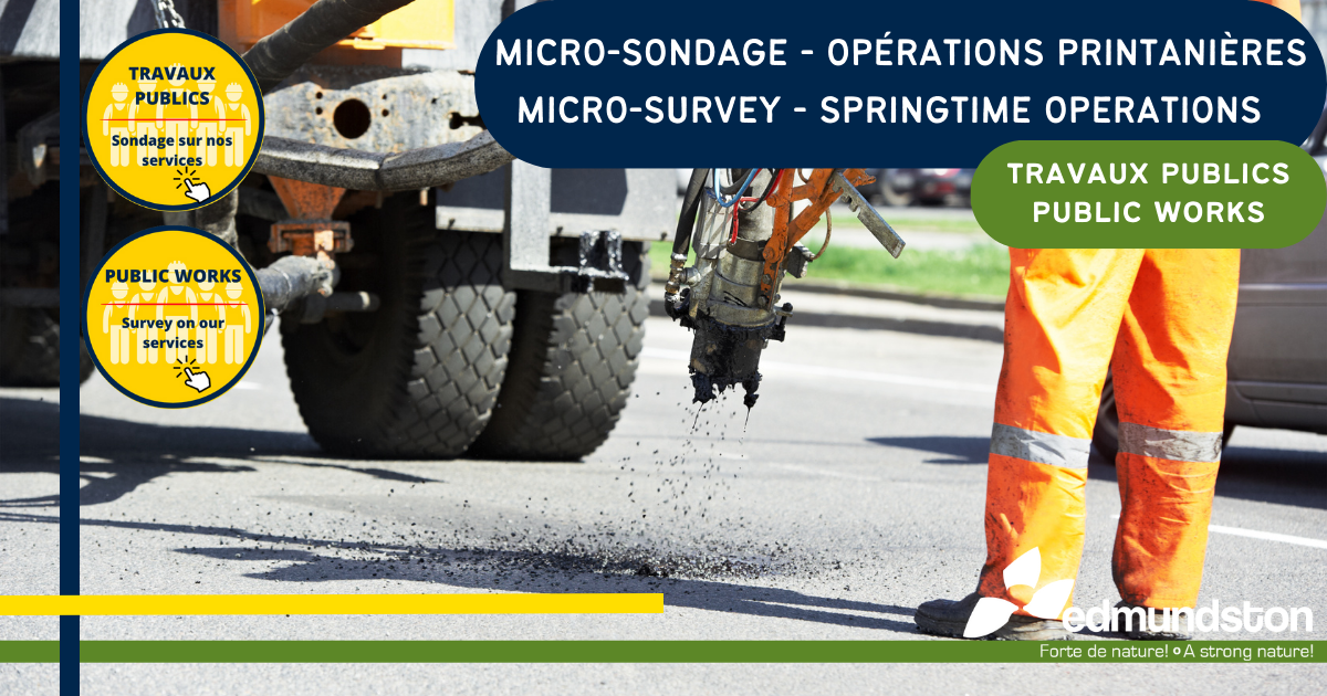 Second micro-survey on the upkeep and maintenance of the municipal road network during the spring period