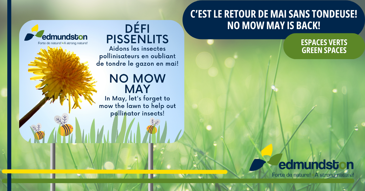 C’est le retour de mai sans tondeuse!