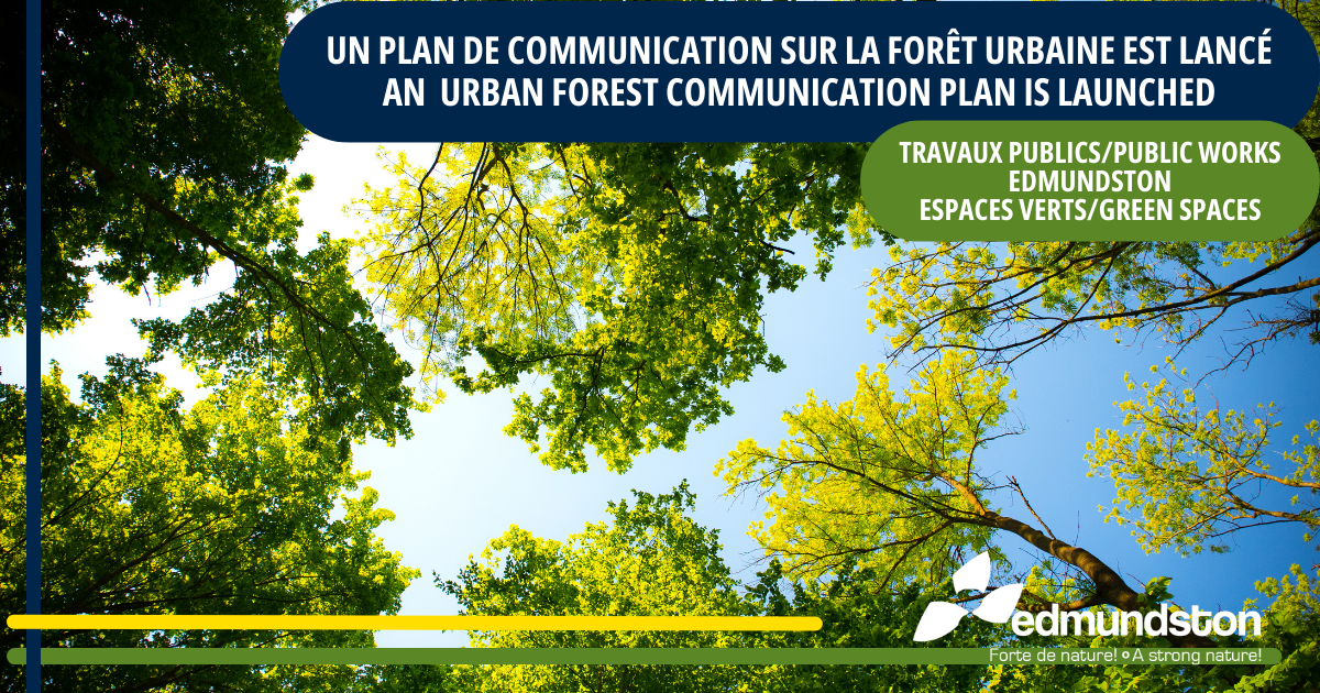 Un plan de communication servant à démystifier la forêt urbaine est lancé