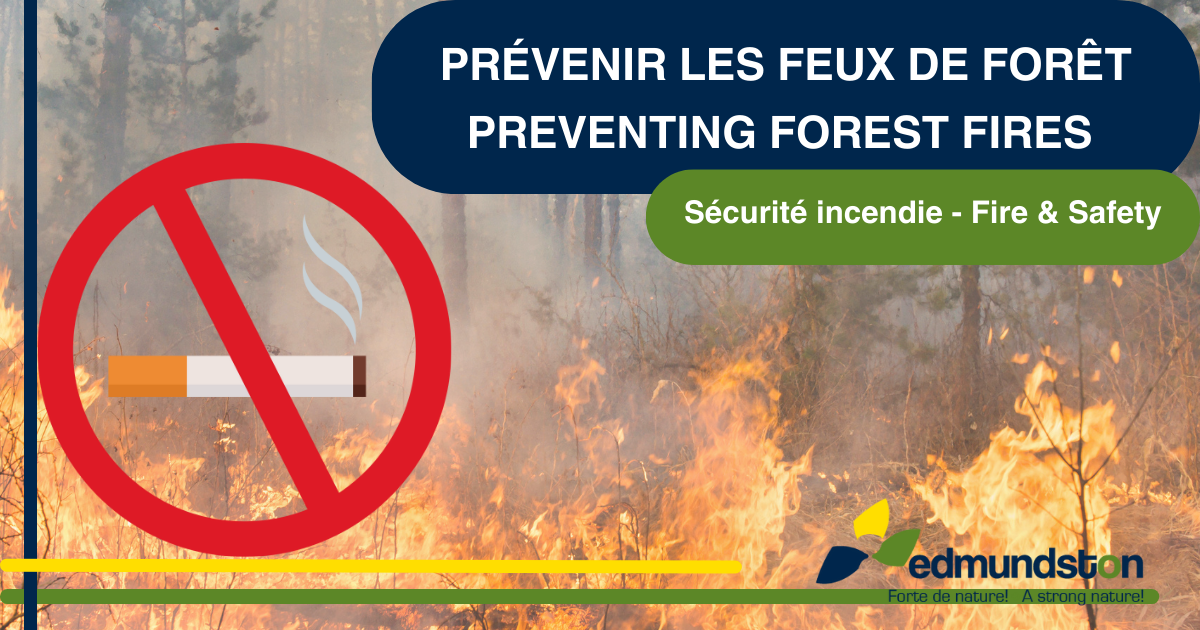 Preventing forest fires is everyone’s concern