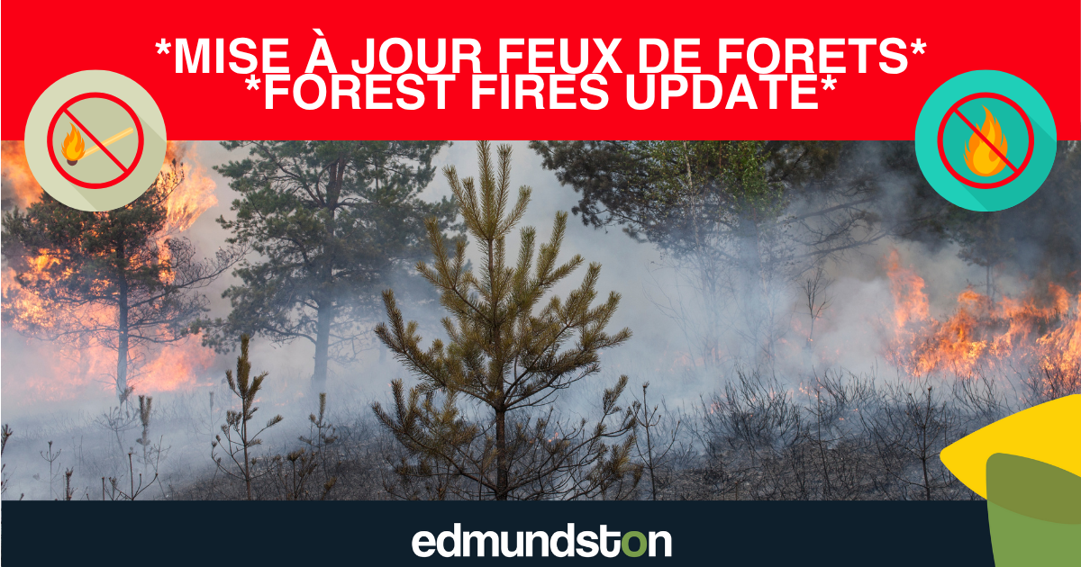Feux de for&ecirc;t &ndash; Risque &eacute;lev&eacute; : appel &agrave; la vigilance