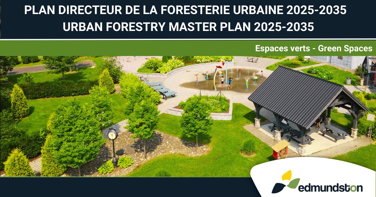 Un nouveau Plan directeur pour une for&ecirc;t urbaine en sant&eacute; &agrave; Edmundston
