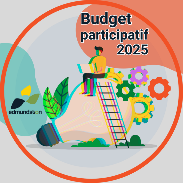 -bouton-budget-participatif-fr (1).png