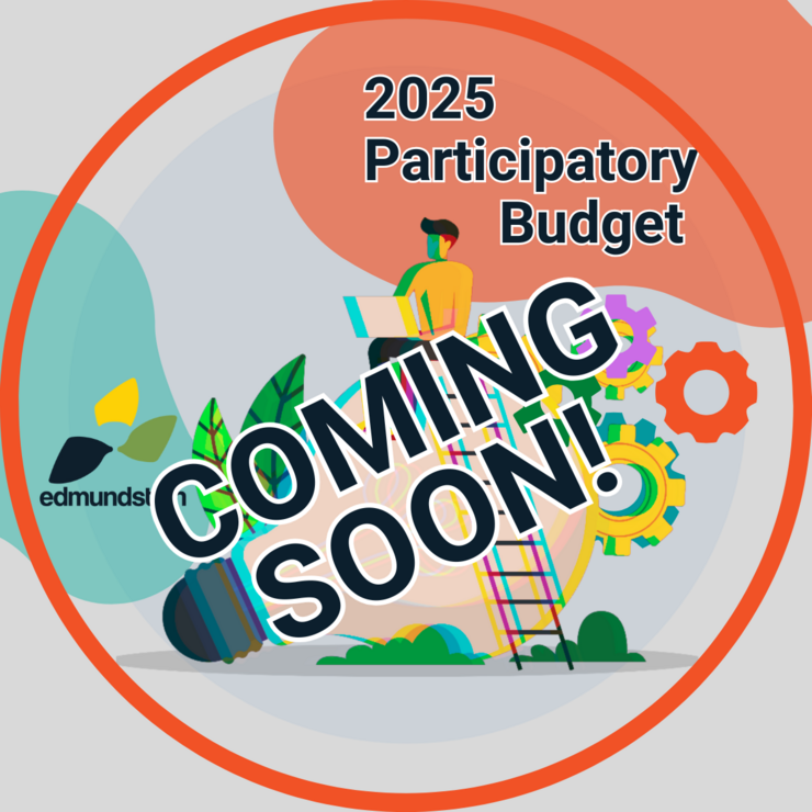 bouton-budget-participatif-en.png