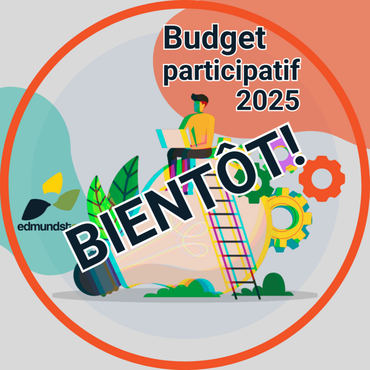-bouton-budget-participatif-fr.png
